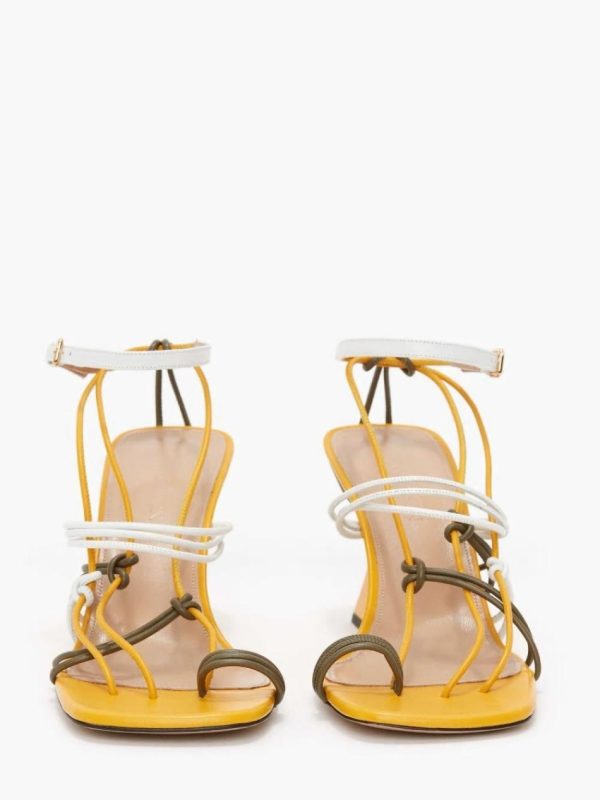 Thesteadyhand.shop565544874e 4