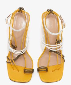 Thesteadyhand.shop565544874e 5