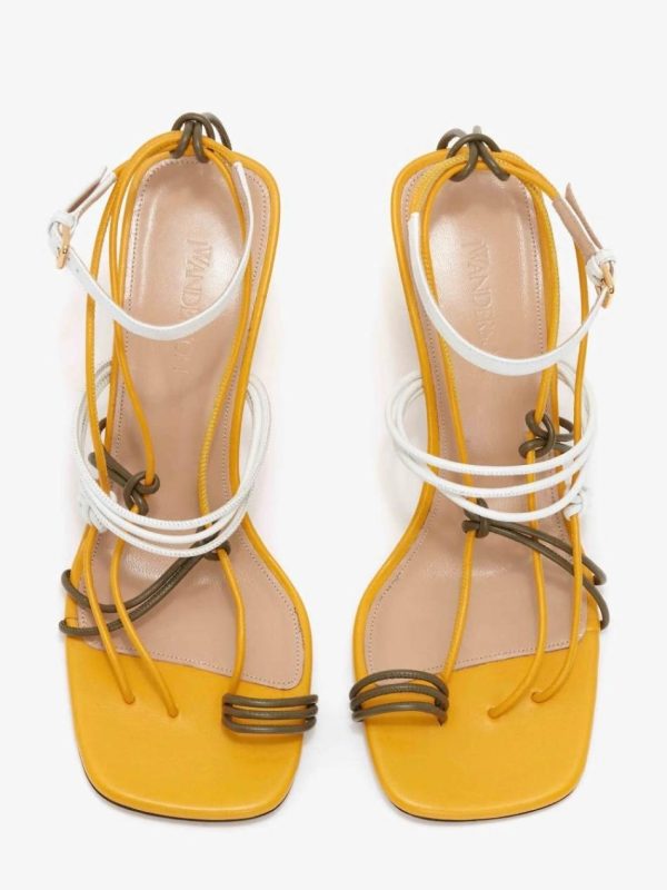 Thesteadyhand.shop565544874e 5