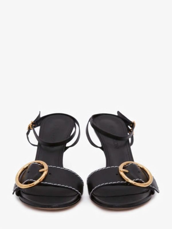 Thesteadyhand.shop79961c66a6 4